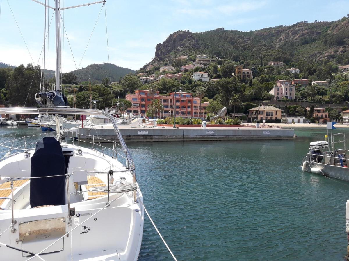 French Riviera 1 Bedroom On The Beach Facing Cannes 泰晤勒·苏尔·梅尔 外观 照片